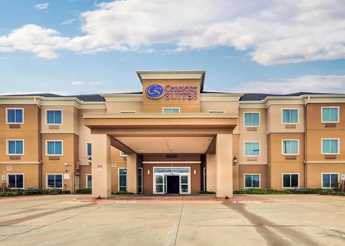 Comfort Suites Fort Worth South
